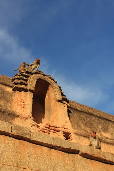 Monkey temple (hanuman templet) i hampi, Indien. — Stockfoto