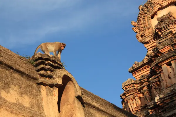 हम्पी, भारत मध्ये माकडी मंदिर (हनुमान मंदिर) . — स्टॉक फोटो, इमेज