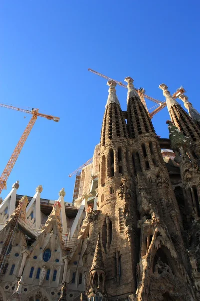 Famous Sagrada Familia in Barcelona, Spain. — Stock Photo, Image