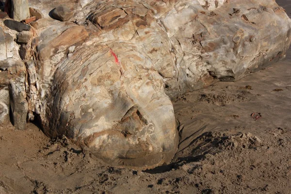 Shiva Rock Carving at Little Vagator Beach in Goa, India. — Stock Photo, Image