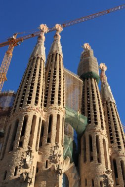 Sagrada Familia Barselona, İspanya.