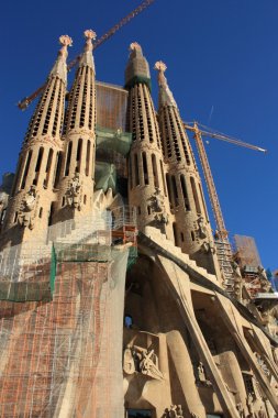 Sagrada Familia Barselona, İspanya.