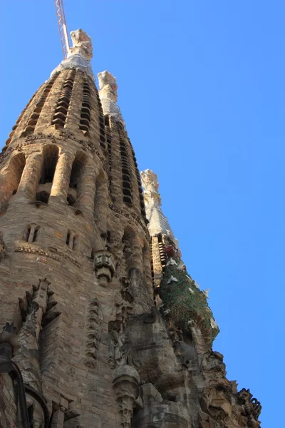 Sagrada Familia Barcelonában, Spanyolországban. — Stock Fotó