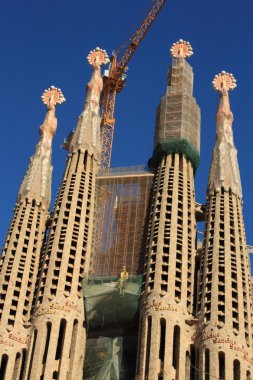 Sagrada Familia Barselona, İspanya.