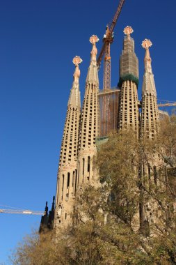 Sagrada Familia Barselona, İspanya.