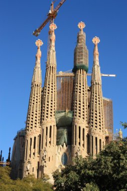 Sagrada Familia Barselona, İspanya.