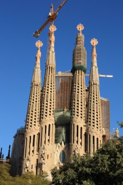 Sagrada Familia Barselona, İspanya.
