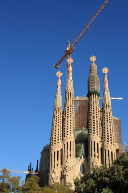 Sagrada Familia Barselona, İspanya.