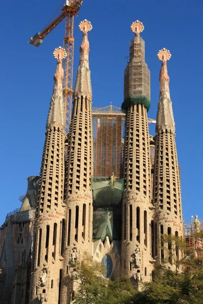 Sagrada Familia in Barcelona, Spain. — Stock Photo, Image