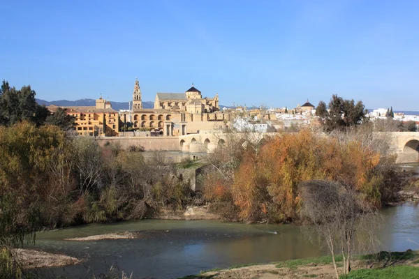 Córdoba cidade em Espanha . — Fotografia de Stock