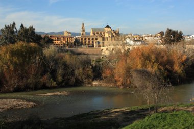 İspanya Cordoba şehri.