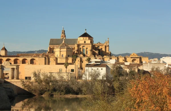 Cordoba town in Spain. — Stock Photo, Image
