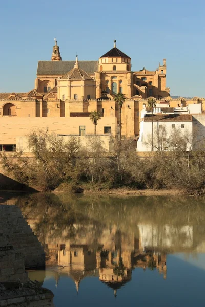 Ville de Cordoue en Espagne . — Photo