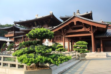 Chi lin Budist tapınağı, hong kong.