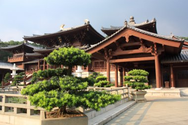 Chi lin Budist tapınağı, hong kong.