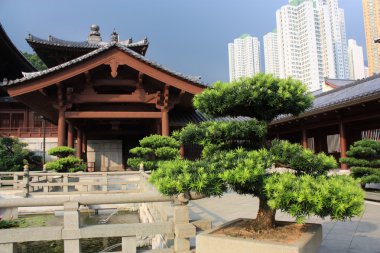 Chi lin Budist tapınağı, hong kong.