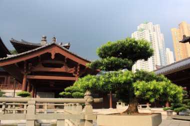 Chi lin Budist tapınağı, hong kong.