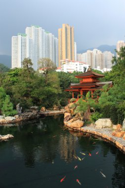 Chi lin Budist tapınağı, hong kong.