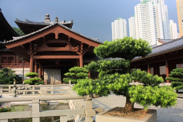 Chi lin buddhistiska tempel, hong kong. — Stockfoto