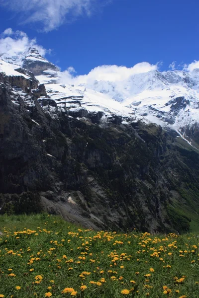 Swiss Alps — Stock Photo, Image