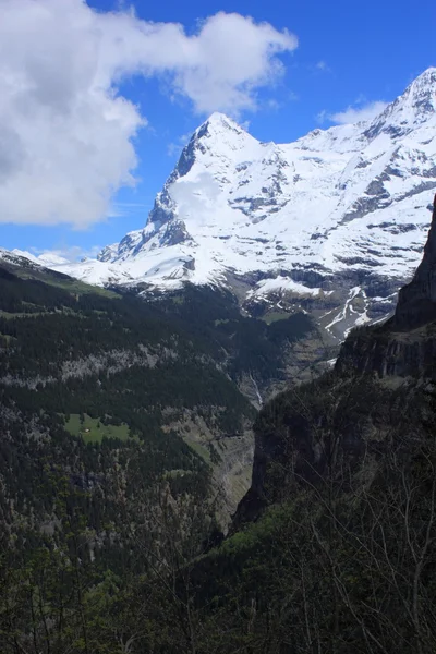 Alpes suizos —  Fotos de Stock