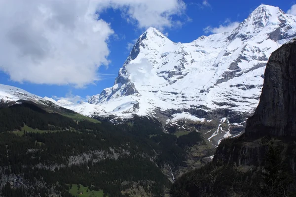 Svájci Alpokban — Stock Fotó