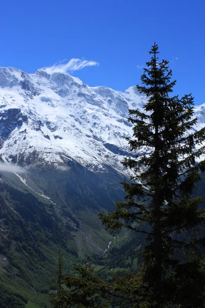Alpes suizos — Foto de Stock