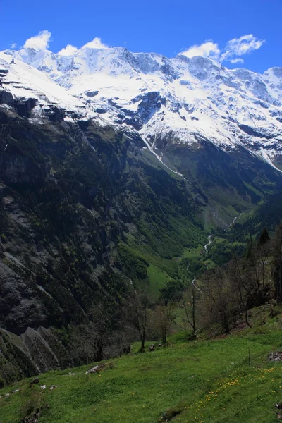 Alpes suíços — Fotografia de Stock