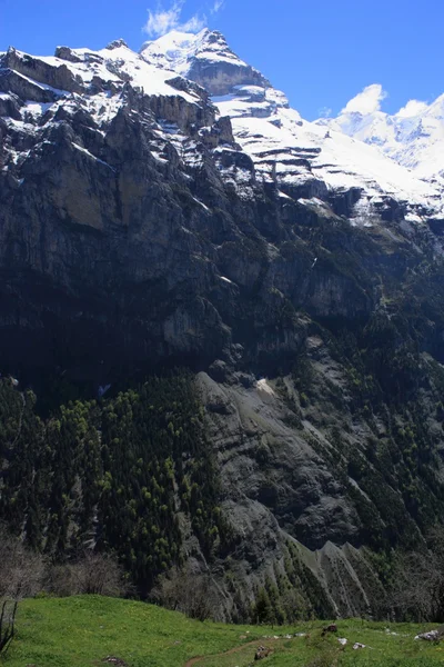 Альпы Швейцарии — стоковое фото