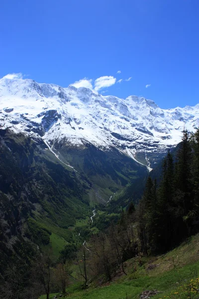 Alpes suíços — Fotografia de Stock