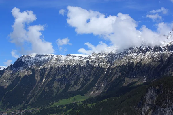 Alpes suizos —  Fotos de Stock