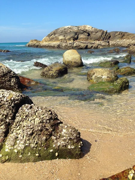 Paisagem tropical — Fotografia de Stock