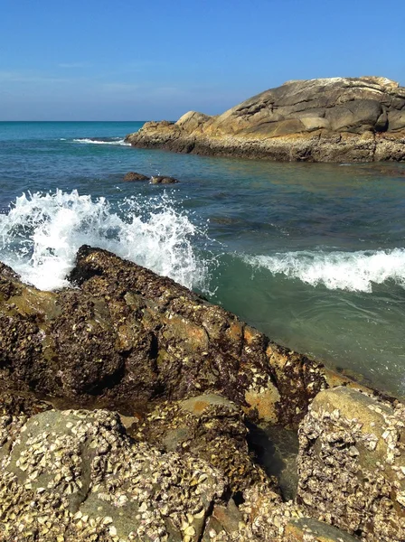 Tropische Landschaft — Stockfoto