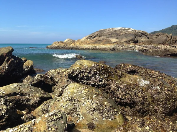 Paesaggio tropicale — Foto Stock