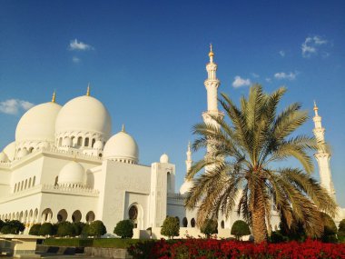 Abu Dabi 'deki Şeyh Zayed camii.