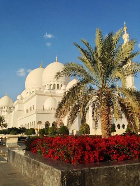 Sheikh Zayed Mosque in Abu Dhabi — Stock Photo, Image