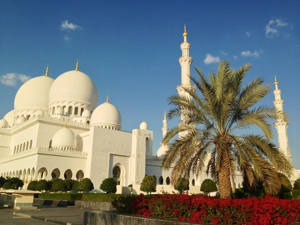 Abu Dabi 'deki Şeyh Zayed camii. Telifsiz Stok Fotoğraflar