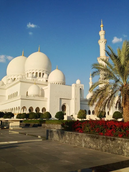 Abu Dabi 'deki Şeyh Zayed camii. Telifsiz Stok Fotoğraflar