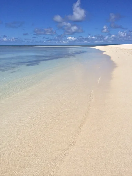 Tropical landscape — Stock Photo, Image