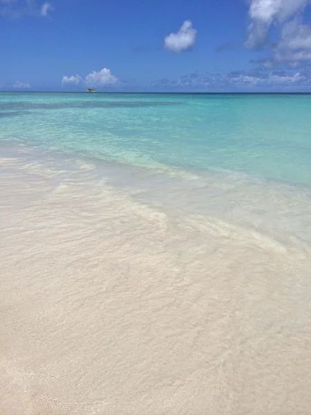 Tropical landscape — Stock Photo, Image