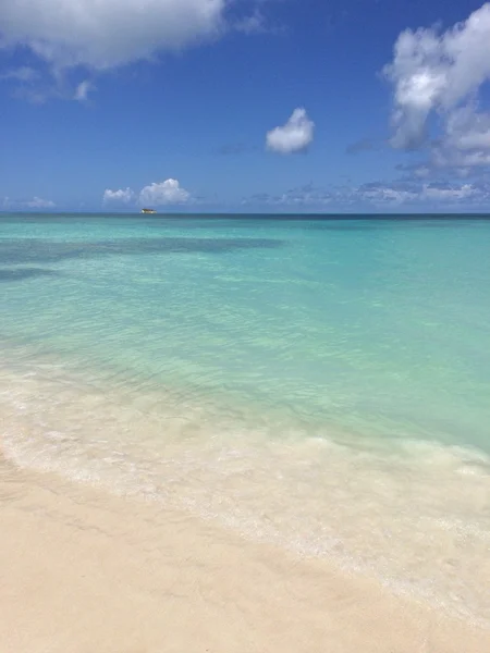 Tropical landscape — Stock Photo, Image