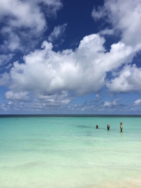 Tropical landscape — Stock Photo, Image