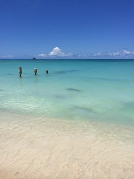 Paisaje tropical — Foto de Stock