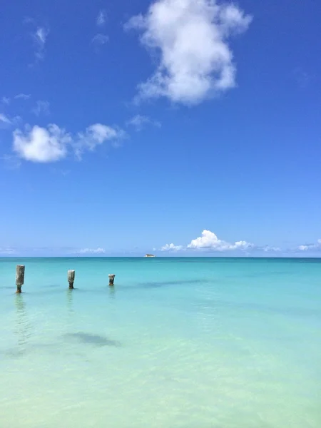 Tropical landscape — Stock Photo, Image