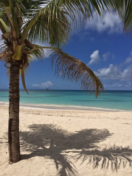 Tropical landscape — Stock Photo, Image