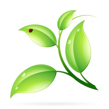 logo ekoloji kavramı