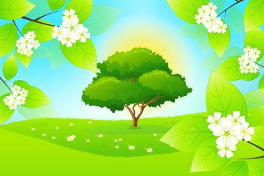 çiçekli yeşil peyzaj