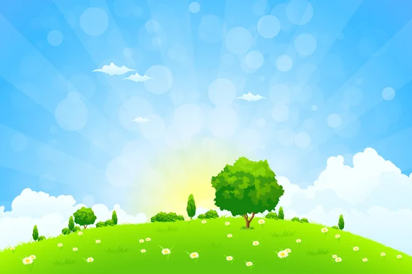 Green Landscape with  Trees — Stock Vector