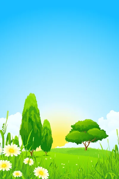 Green Landscape with  Trees — Stock Vector