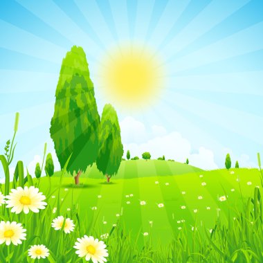 ağaçlar, yeşil yatay